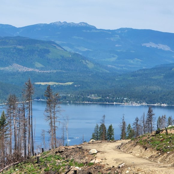 Meet your Posher, TL - Picture 11 of 14